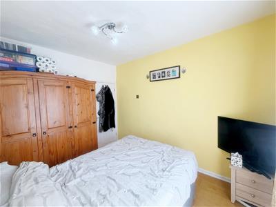 Picture 12